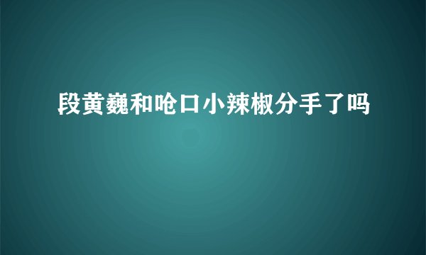 段黄巍和呛口小辣椒分手了吗