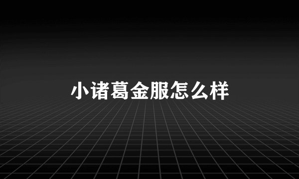 小诸葛金服怎么样