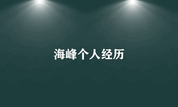 海峰个人经历