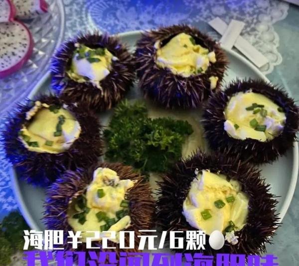 太突然！“海胆蒸蛋”当事人道歉！网友：我更加不敢去三亚了
