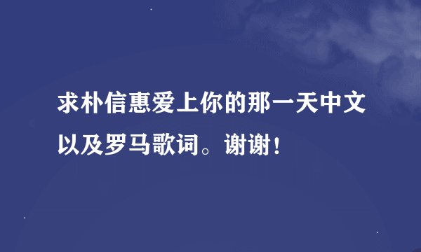 求朴信惠爱上你的那一天中文以及罗马歌词。谢谢！