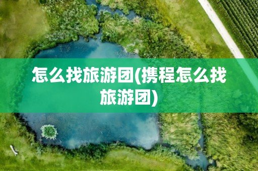 旅游团怎么找