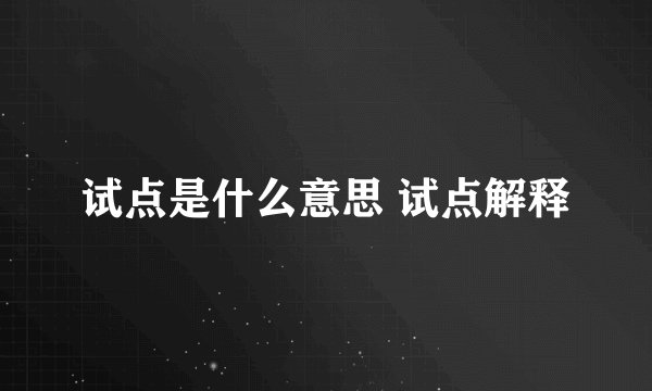 试点是什么意思 试点解释