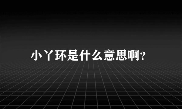 小丫环是什么意思啊？