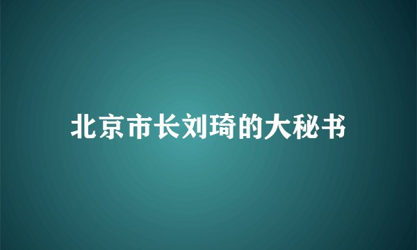 北京市长刘琦的大秘书