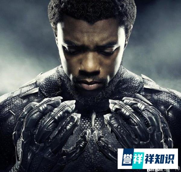 “黑豹”去世,一切都来的太突然了