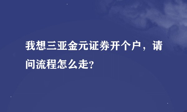 我想三亚金元证券开个户，请问流程怎么走？