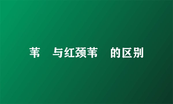 苇鹀与红颈苇鹀的区别