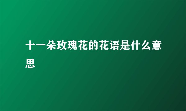 十一朵玫瑰花的花语是什么意思