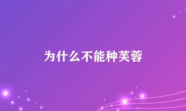 为什么不能种芙蓉