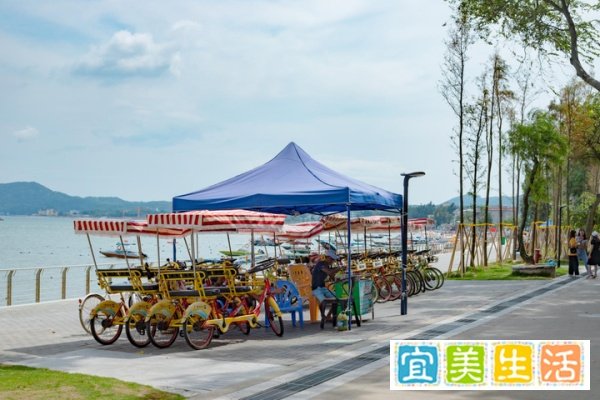 深圳较场尾五一开放吗