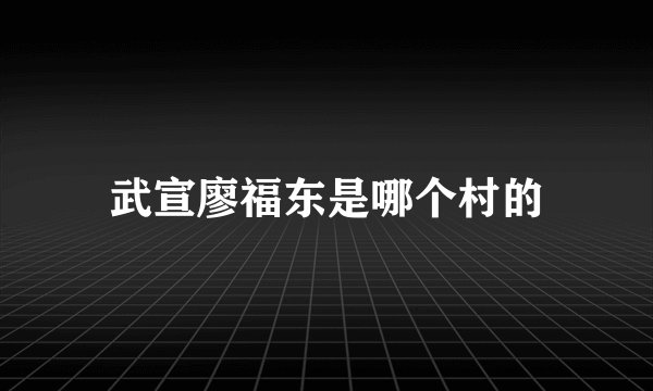武宣廖福东是哪个村的