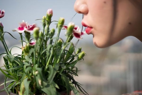 满脸生花是什么意思?
