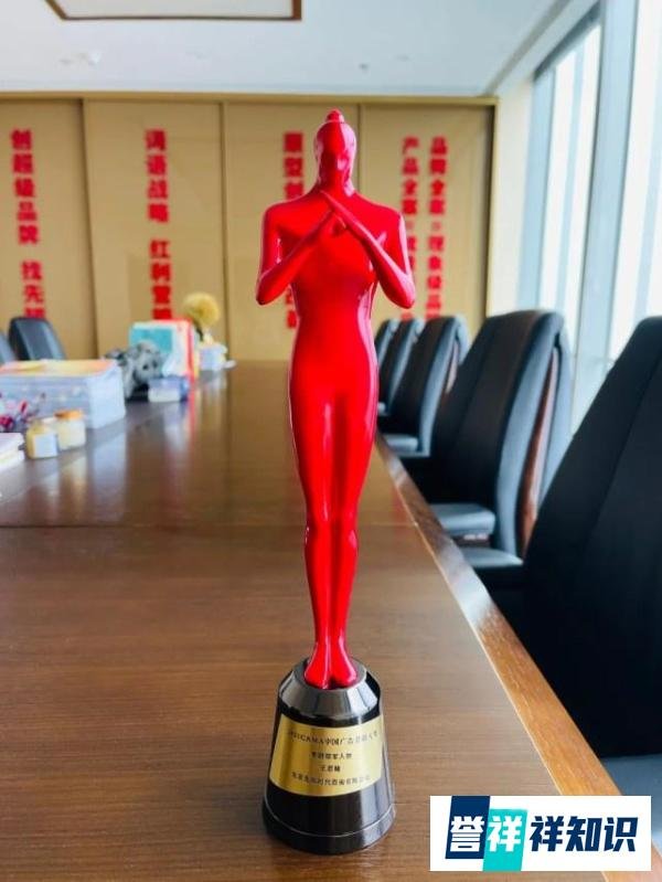 先知战略?总顾问王思翰荣获CAMA《中国广告杂志》营销领军人物大奖