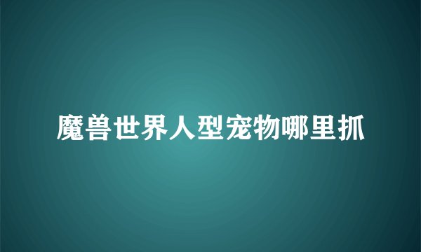魔兽世界人型宠物哪里抓