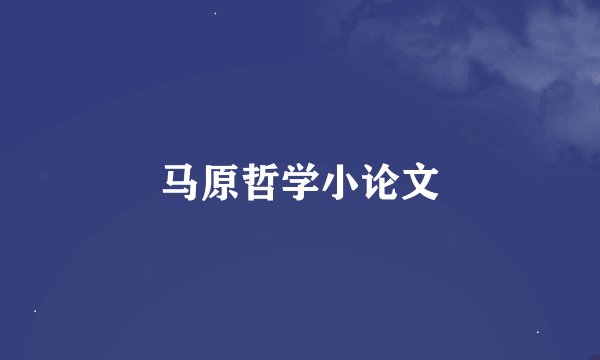 马原哲学小论文
