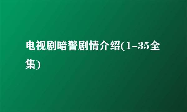电视剧暗警剧情介绍(1-35全集)