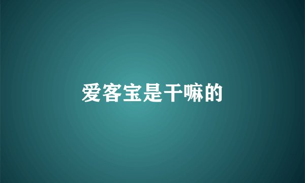 爱客宝是干嘛的
