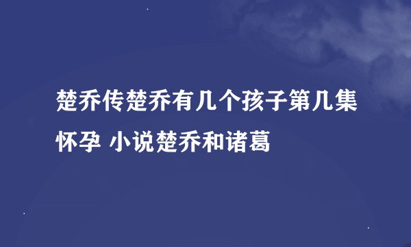 楚乔传楚乔有几个孩子第几集怀孕 小说楚乔和诸葛玥