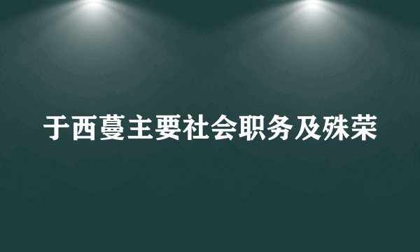 于西蔓主要社会职务及殊荣