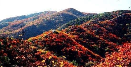 这个季节的香山最美啦 去景区需要注意哪些事项呢?