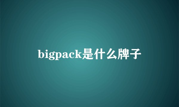 bigpack是什么牌子