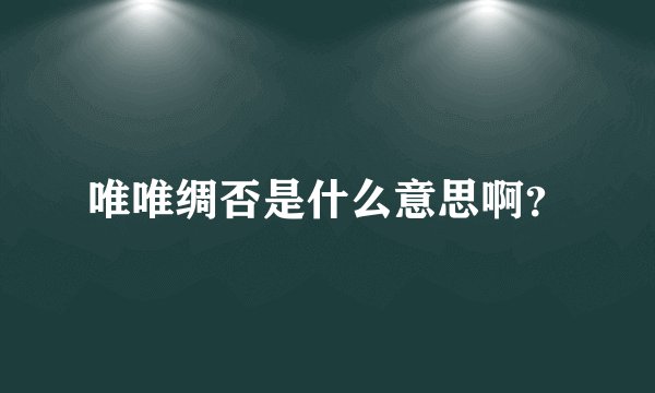 唯唯绸否是什么意思啊？