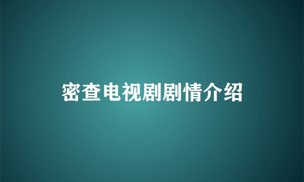 密查电视剧剧情介绍