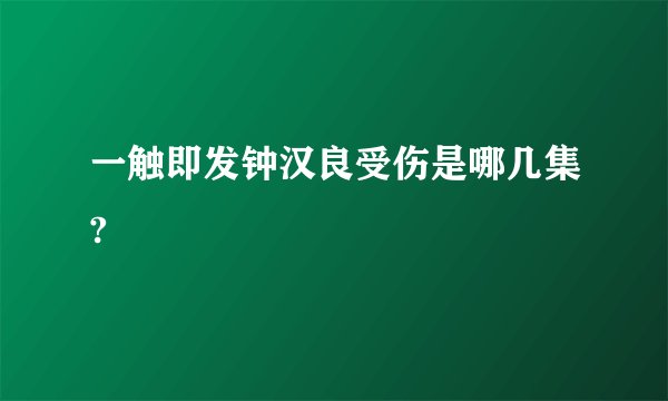一触即发钟汉良受伤是哪几集?