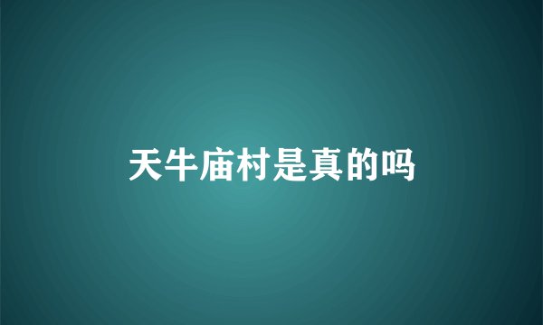 天牛庙村是真的吗