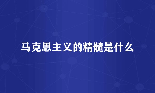 马克思主义的精髓是什么