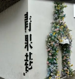 青果巷剧情介绍