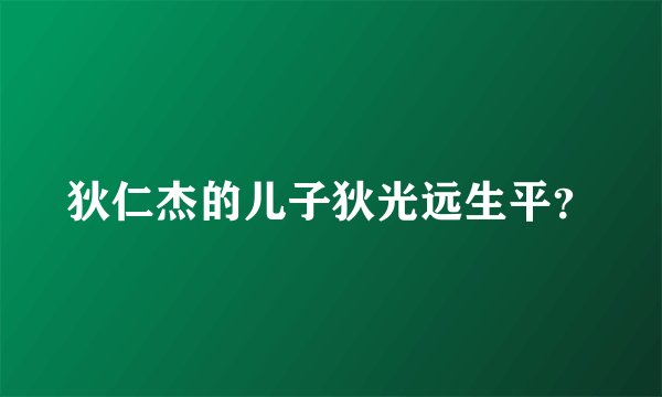 狄仁杰的儿子狄光远生平？