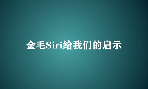 金毛Siri给我们的启示