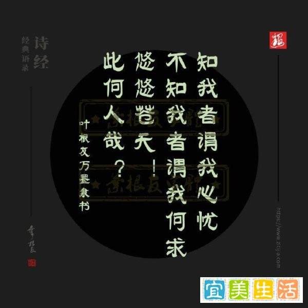 诗经千古名句摘抄,桃之夭夭,灼灼其华,之子于归,宜其家人