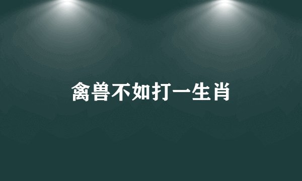 禽兽不如打一生肖