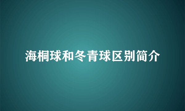 海桐球和冬青球区别简介