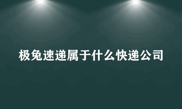 极兔速递属于什么快递公司