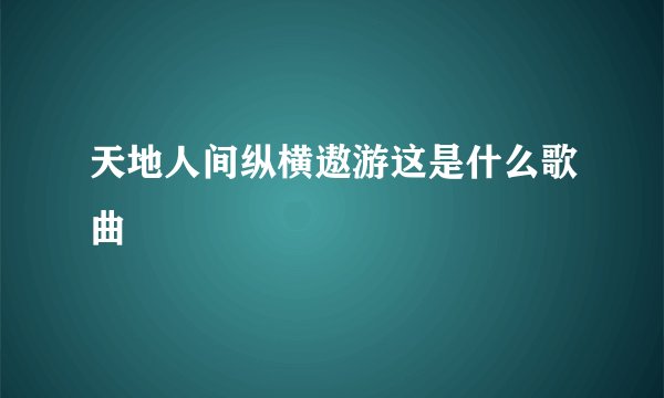 天地人间纵横遨游这是什么歌曲