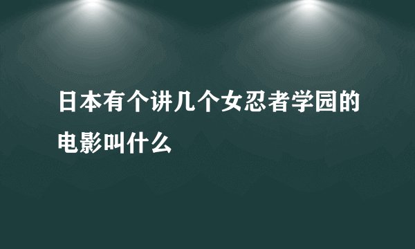 日本有个讲几个女忍者学园的电影叫什么
