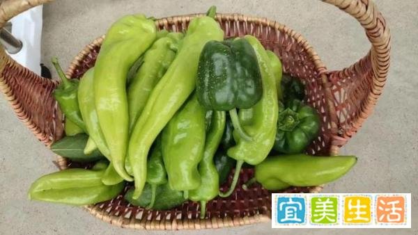 中元节来了,今年七月半不一般,60年一遇,三大特点,早看早准备