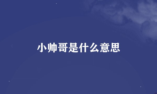 小帅哥是什么意思