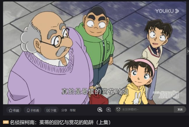 在名侦探柯南的哪一集里面阿笠博士照着少年侦探团去逛庙会在其中碰到了朱莉老？