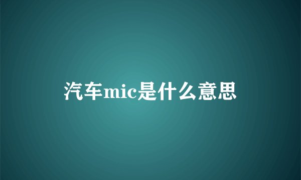 汽车mic是什么意思