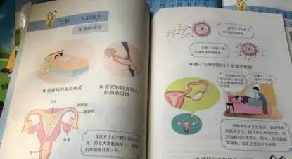 小学性教育课本被批尺度大，是知识错了？