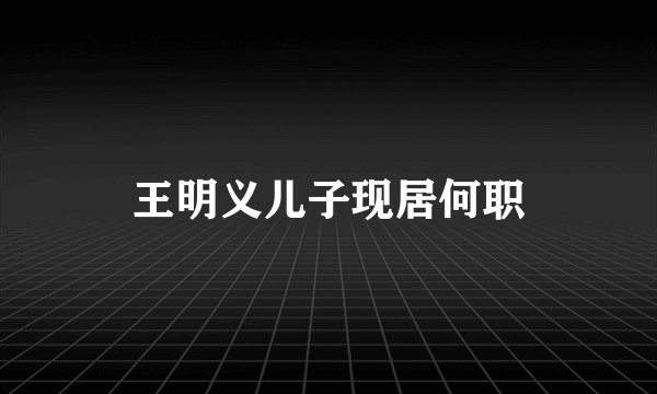 王明义儿子现居何职