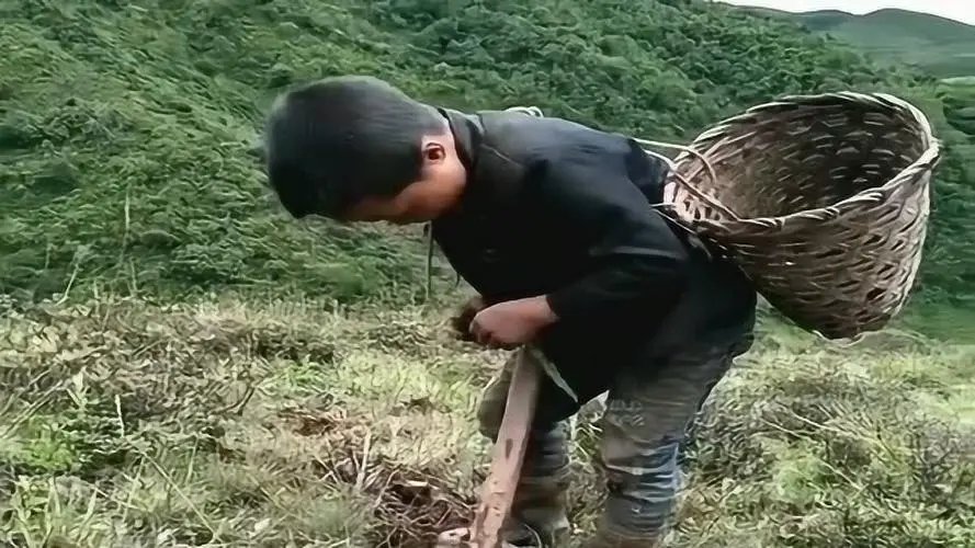20余名留守娃轮流摆拍喂猪完成作业！这是一幕什么样的场景？