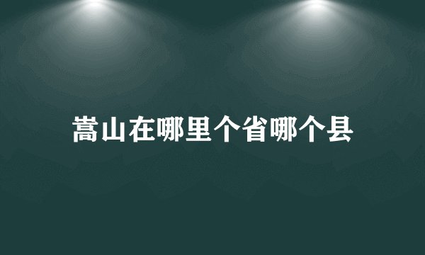 嵩山在哪里个省哪个县