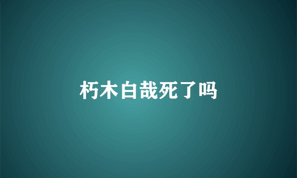 朽木白哉死了吗