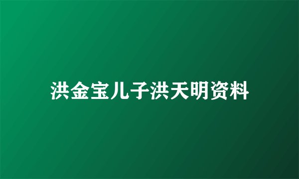 洪金宝儿子洪天明资料